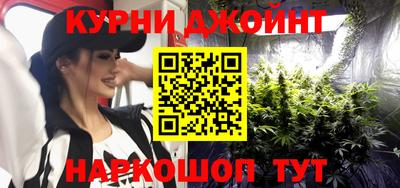 гидропоника Камышлов