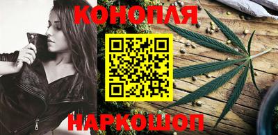 гидропоника Камышлов